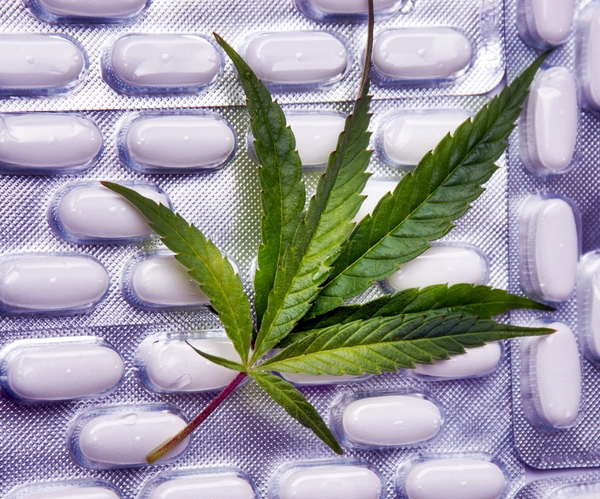 Key marijuana drug approval looms as cannabis goes mainstream - IEyeNews