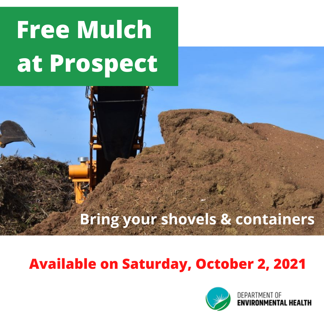 Cayman Mulch Available At Prospect Again IEyeNews